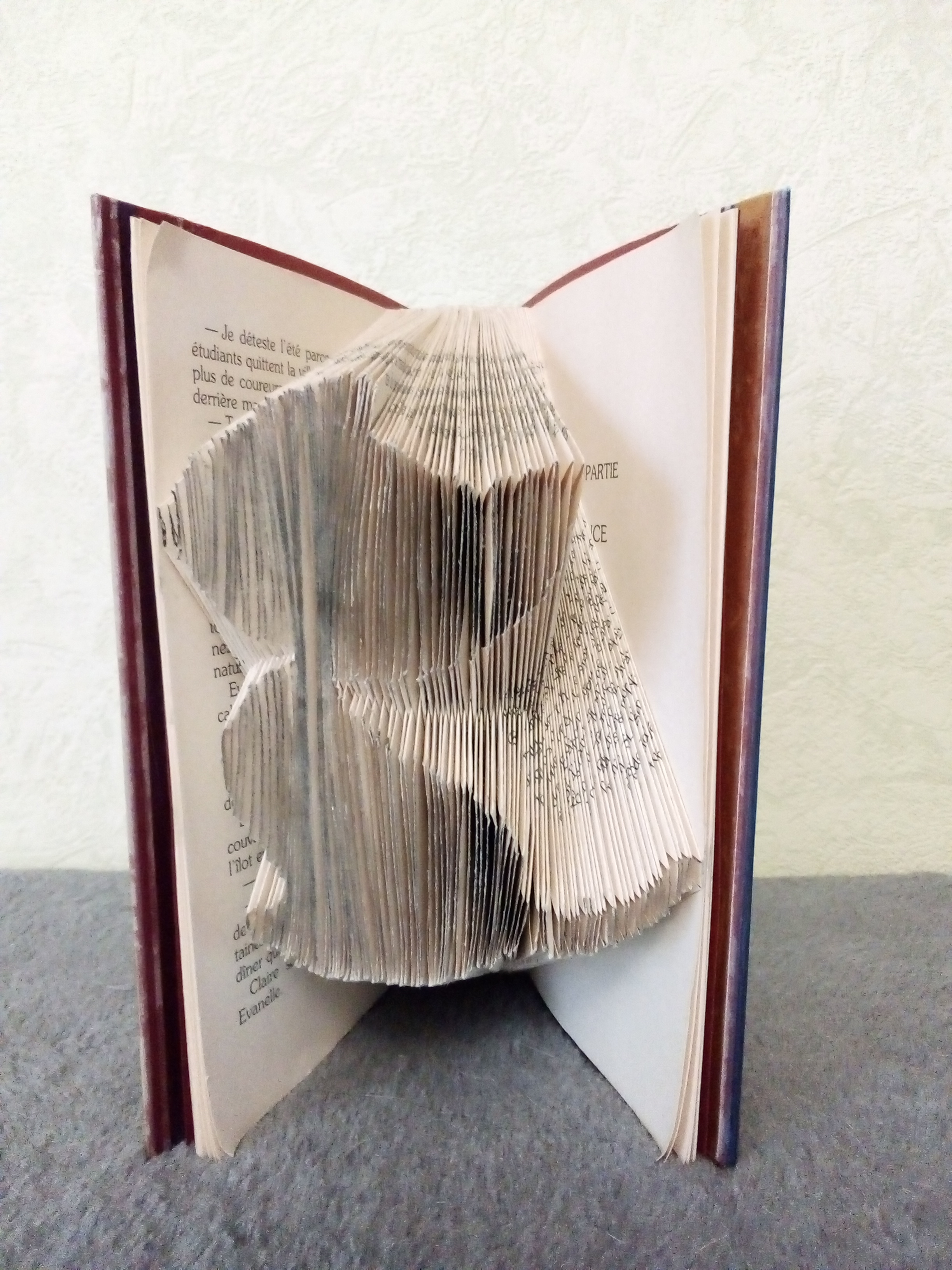 livre pliage en forme de chat